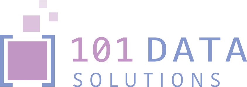 Logo for 101 data solutions